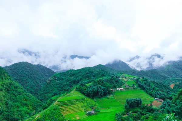 Hermoso Paisaje Los Campos Arroz Cat Cat Village — Foto de Stock