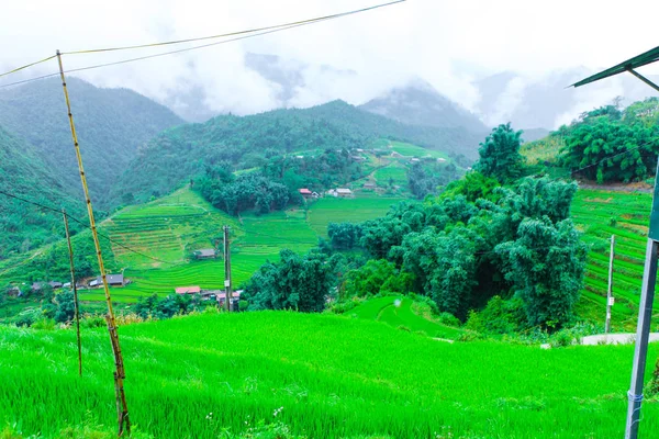 Hermoso Paisaje Los Campos Arroz Cat Cat Village — Foto de Stock