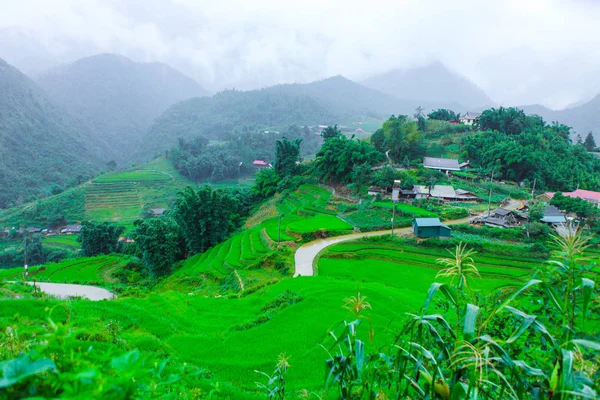 Beautiful Scenery Rice Fields Cat Cat Village — Stock Photo, Image