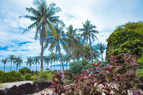 Strand Auf Kleiner Insel Son Quang Ngai Vietnam — Stockfoto