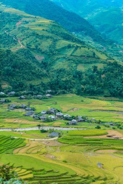 Mucangchai, Vietnam, 29 Eylül 2018: Pirinç tarlaları teraslı. Alanları pirinç ekime hazırlanır. Lim Mong, Huyen Mu Chang Chai, Kuzey Vietnam
