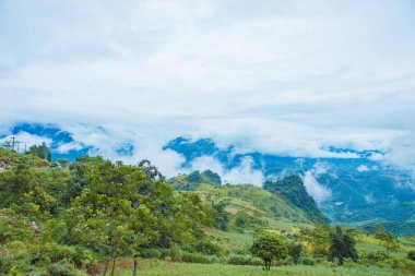 Mucangchai, Vietnam, 29 Eylül 2018: Pirinç tarlaları teraslı. Alanları pirinç ekime hazırlanır. Lim Mong, Huyen Mu Chang Chai, Kuzey Vietnam