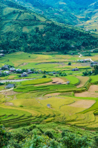 Mucangchai Vietnam September 2018 Terrasserade Risfälten Fält Förberedda För Plantera — Stockfoto