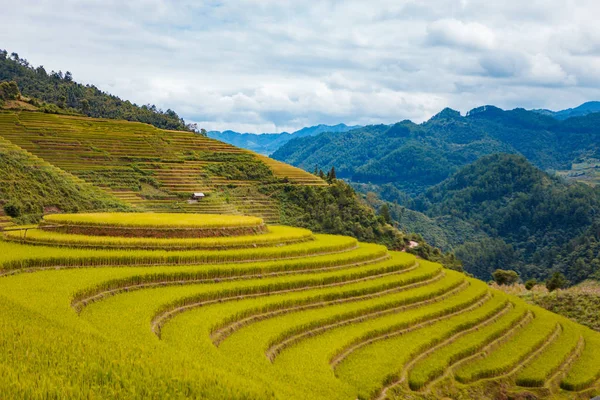 Mucangchai Vietnam Setembro 2018 Terraços Arroz Estação Água Vietnã Terraços — Fotografia de Stock