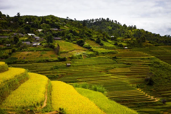 Mucangchai Vietnam 2018 Szeptember Rizs Teraszok Víz Szezonban Vietnamban Teraszok — Stock Fotó