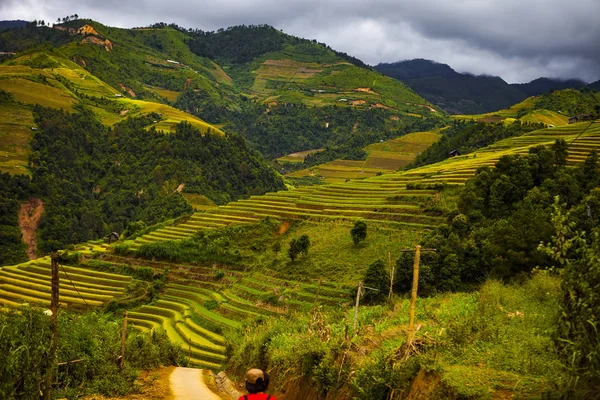 Mucangchai Vietnam September 2018 Rijstvelden Water Seizoen Vietnam Terrassen Worden — Stockfoto