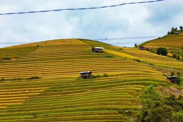 Mucangchai Vietnam Setembro 2018 Terraços Arroz Estação Água Vietnã Terraços — Fotografia de Stock