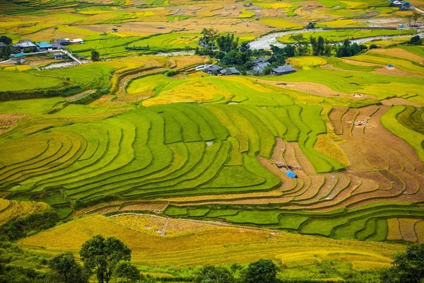 Mucangchai Vietnam Setembro 2018 Campos Arroz Terraço Campos Estão Preparados — Fotografia de Stock