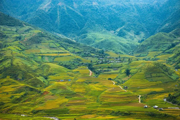 Mucangchai Vietnam September 2018 Terrasserade Risfälten Fält Förberedda För Plantera — Stockfoto