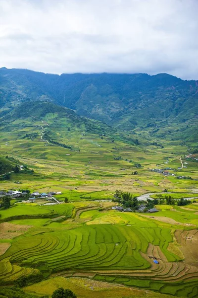 Mucangchai Vietnam September 2018 Terrasserade Risfälten Fält Förberedda För Plantera — Stockfoto
