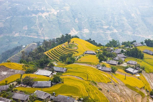 Risfälten Terrasserade Fält Förberedda För Plantera Ris Ban Phung Giang — Stockfoto