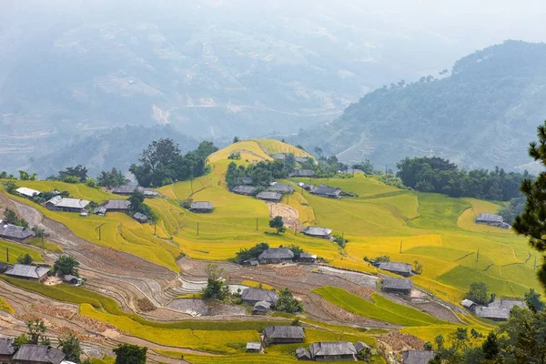 Тераси Рисових Полів Поля Готові Посадки Рису Заборона Phung Giang — стокове фото