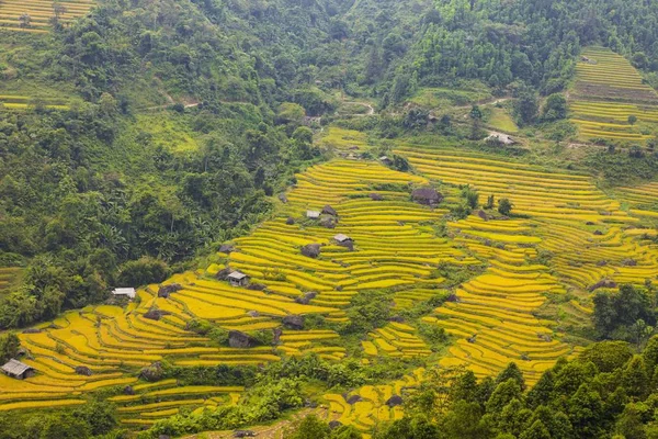 Risfälten Terrasserade Fält Förberedda För Plantera Ris Ban Luoc Huyen — Stockfoto
