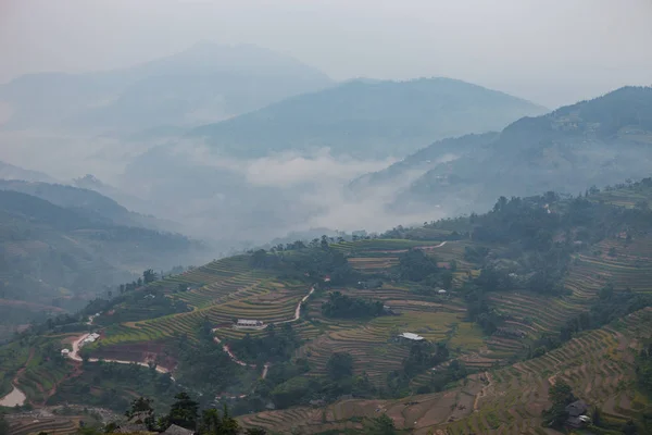 Risfälten Terrasserade Fält Förberedda För Plantera Ris Hoang Phi Giang — Stockfoto