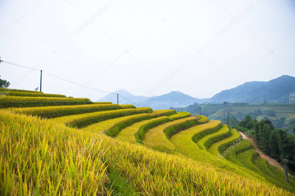 Rice fields on terraced. Fields are prepared for planting rice. Hoang Su Phi, Ha Giang Province. Northern Vietnam