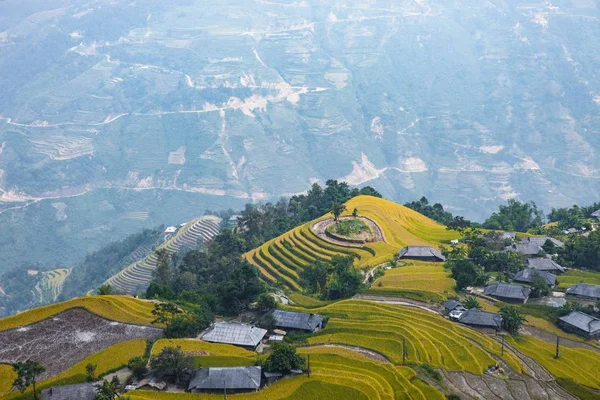 Risfälten Terrasserade Fält Förberedda För Plantera Ris Ban Phung Giang — Stockfoto