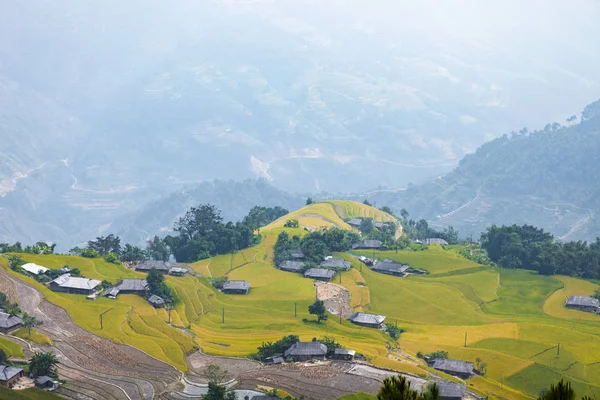Risfälten Terrasserade Fält Förberedda För Plantera Ris Ban Phung Giang — Stockfoto