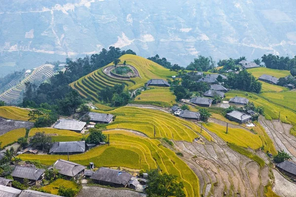 Risfälten Terrasserade Fält Förberedda För Plantera Ris Ban Phung Giang — Stockfoto