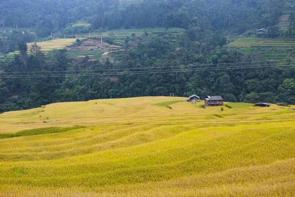 Risfälten Terrasserade Fält Förberedda För Plantera Ris Nam Dan Huyen — Stockfoto
