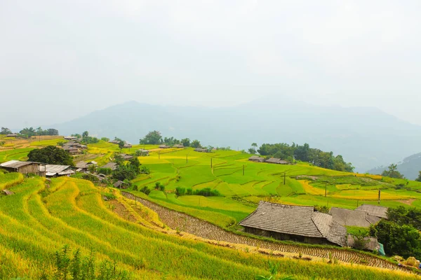 Risfälten Terrasserade Fält Förberedda För Plantera Ris Förbjuda Phung Huyen — Stockfoto