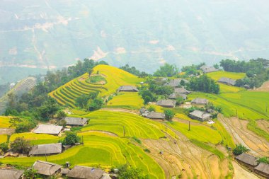 Pirinç tarlaları teraslı. Alanları pirinç ekime hazırlanır. Ban Phung, Huyen Hoang Su Phi, Giang il Ha. Kuzey Vietnam