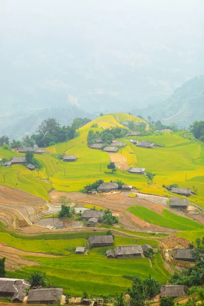 Risfälten Terrasserade Fält Förberedda För Plantera Ris Förbjuda Phung Huyen — Stockfoto