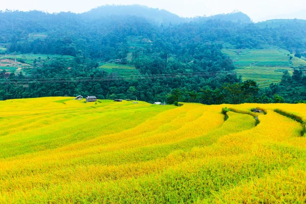 Campos Arroz Terrazas Los Campos Preparan Para Siembra Arroz Nam —  Fotos de Stock