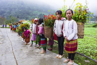 Dong Van, Ha Giang, Vietnam, 13 Ekim 2018: Hagiang, Vietnam kolza tohumu çiçek sepetleri tanımlanamayan etnik azınlık çocuklar. Hagiang Vietnam en kuzeydeki bir ildir