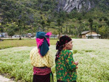 Akciğer Cu, Ha Giang, Vietnam, 20 Ekim 2018: Akciğer Cu bayrak direği nerede Ha Giang il, Vietnam