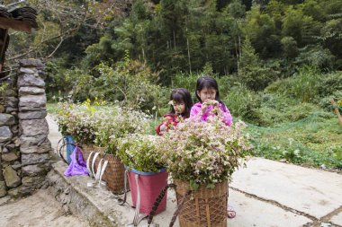Akciğer Cu, Ha Giang, Vietnam, 20 Ekim 2018: Akciğer Cu bayrak direği nerede Ha Giang il, Vietnam