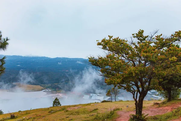 Çam Ormanı Yayla Lat Şehir Langbiang Sabah Siste — Stok fotoğraf