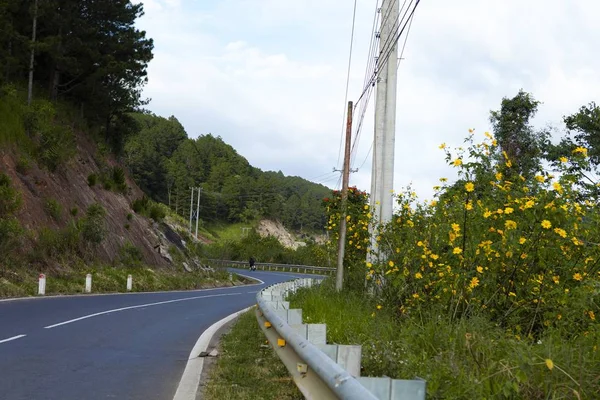 Vietnamesiska Landsbygden Med Vilda Solrosor Blommar Gult Längs Gatan Dalat — Stockfoto