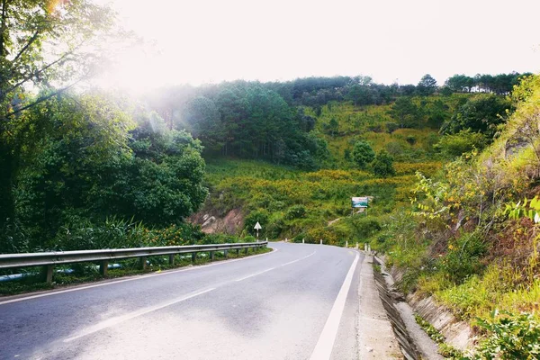 ダラットを黄色で野生ひまわりが咲くとベトナムの田舎は美しい風景 野生の花で 旅行のための都市 — ストック写真