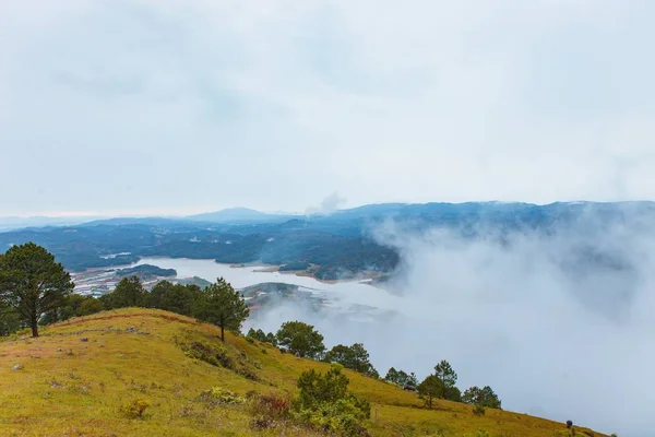 Çam Ormanı Yayla Lat Şehir Langbiang Sabah Siste — Stok fotoğraf