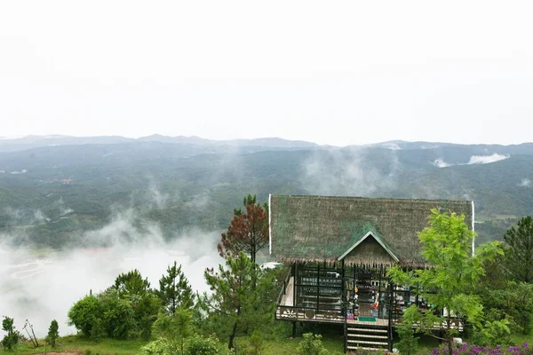 Çam Ormanı Yayla Lat Şehir Langbiang Sabah Siste — Stok fotoğraf