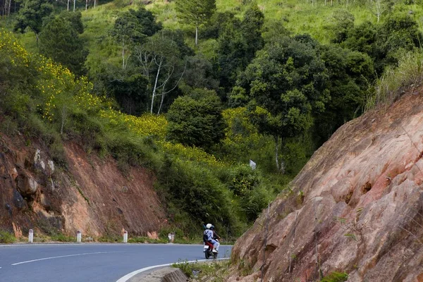 Campagne Vietnamienne Avec Fleur Tournesol Sauvage Jaune Long Rue Dalat — Photo