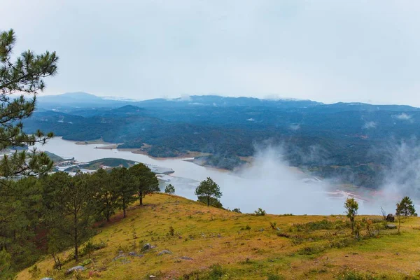 Çam Ormanı Yayla Lat Şehir Langbiang Sabah Siste — Stok fotoğraf