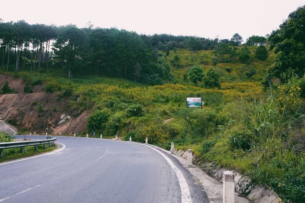 Campagne Vietnamienne Avec Fleur Tournesol Sauvage Jaune Long Rue Dalat — Photo