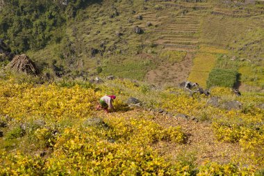 Dong Van, Ha Giang, Vietnam, 27 Eylül 2019: Ha Giang, Vietnam'da doğa görkemli dağlar manzarası