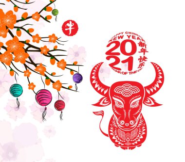 2021 Çin Yeni Yılı kartı, erik çiçeği, fener ve öküz (Çince çeviri: Mutlu Çin Yeni Yılı, Öküz Yılı)