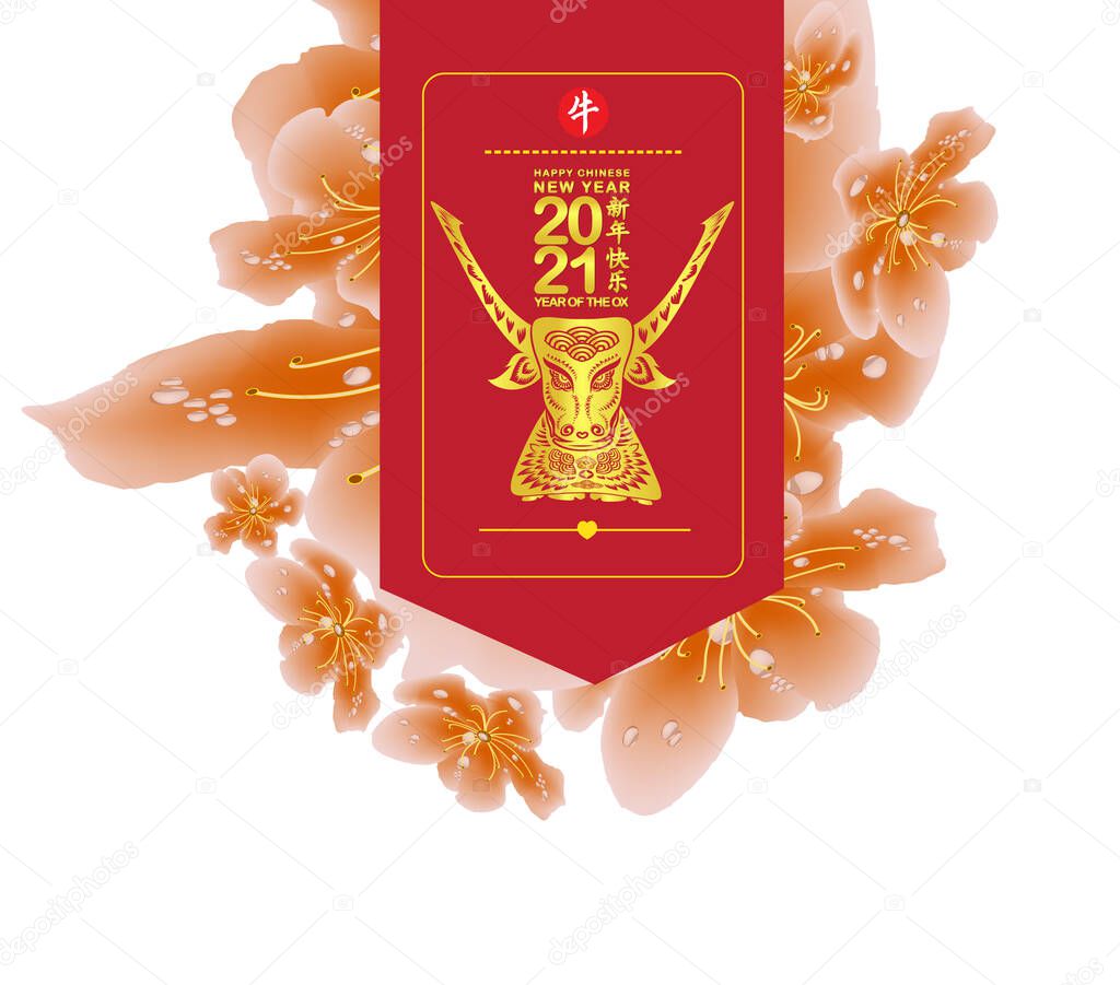Spring sale banner design with sakura blossom. Chinese new year Ox 2021 (Chinese translation Happy Chinese New Year, Year of Ox)