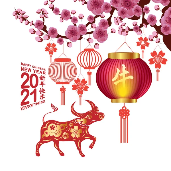 Китайский Новый 2021 Год Украшения Традиционный Фонарь Слива Цветут Праздничном — стоковый вектор