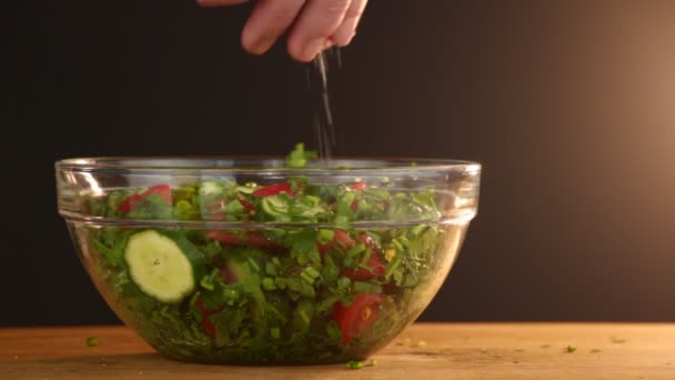 Pepinos Tomates Ervas Salada Verão — Vídeo de Stock