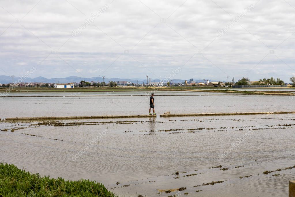 Man observing the rice fields near Valencia