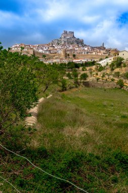 Tipik bir dağ köyüne bitişik bitki örtüsü