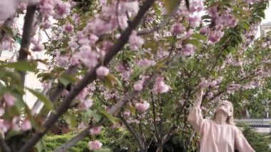 Sakura Park 'ta mutlu kızlar.