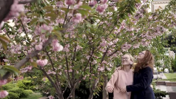 Muchachas felices en Sakura Park — Vídeo de stock