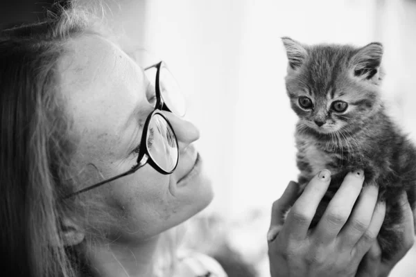 A menina segura e olha para o gatinho direto escocês — Fotografia de Stock