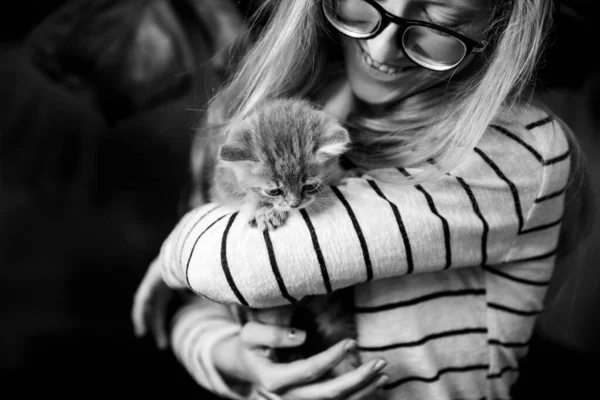 Menina segurando um gatinho escocês — Fotografia de Stock