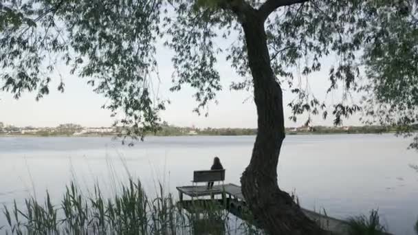 Fille Assise Sur Une Jetée Banc Bord Lac Sous Saule — Video